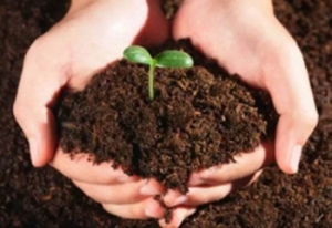 石家庄环评检测