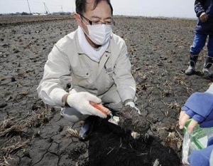 环境检测