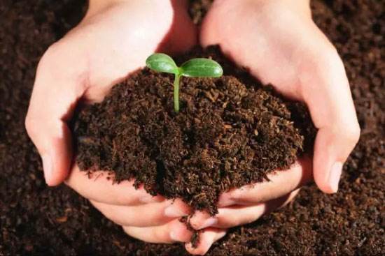 石家庄环评检测 石家庄环评检测